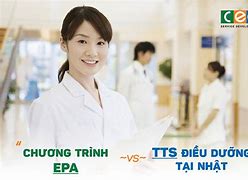 Cty Xkld Tâm Nhật Bản 2024 Tuyển Dụng Gì Viên Chức Là Gì