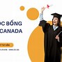 Điều Kiện Xin Học Bổng Toàn Phần Canada Tại Việt Nam Là Gì Ạ