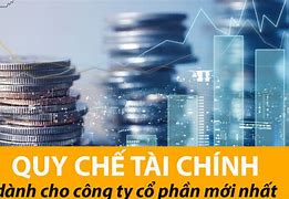 Quy Chế Tài Chính Của Công Ty Tnhh