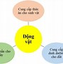 Sinh Vật La Gì Lớp 6