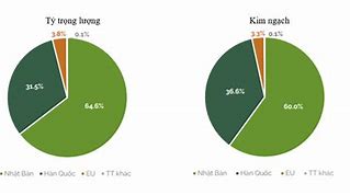 Thị Trường Xuất Khẩu Dăm Gỗ